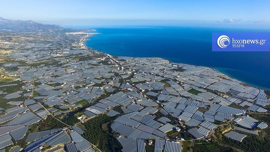 Image: Οι Αγροτικοί Σύλλογοι της Κρήτης ζητούν αύξηση του ποσού ενίσχυσης στα θερμοκηπιακά κηπευτικά 