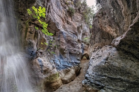 Image: Άρβη: Το επιβλητικό φαράγγι με τη φυσική πηγή που αρδεύει μια κοιλάδα κατάφυτη με μπανανιές