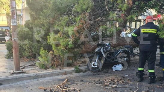 Image: Τραγωδία στο Ηράκλειο : Νεκρός o οδηγός μηχανής που καταπλακώθηκε από δέντρο