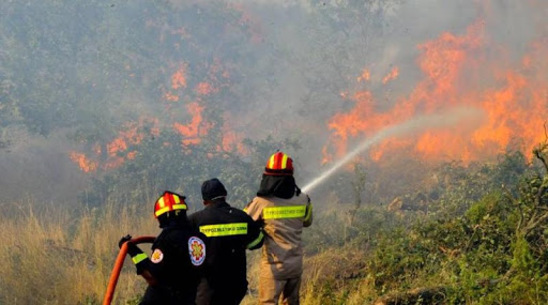 Image: Φωτιά στη θρυπτή  - Σπεύδει η Πυροσβεστική Ιεράπετρας