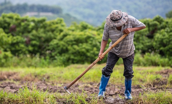 Image: Κορωνοϊός: Επέκταση και το 2021 των μέτρων στήριξης των αγροτών