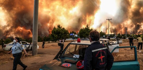 Image: Βιβλική καταστροφή: Κάηκαν 76.150 στρέμματα στην Αττική, 197.940 στην Εύβοια!