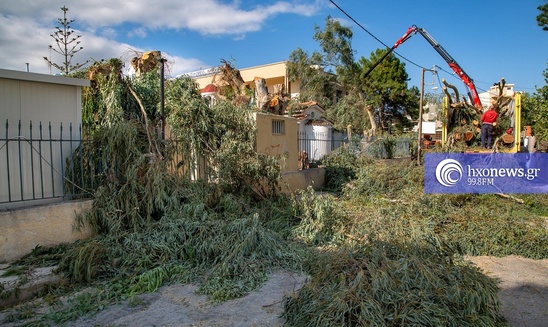 Image: Κόπηκαν και τα υπόλοιπα δέντρα από το προαύλιο του Νοσοκομείου Ιεράπετρας