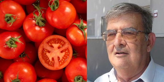 Image: Μαροκινές τομάτες έχουν κατακλύσει την ευρωπαϊκή αγορά