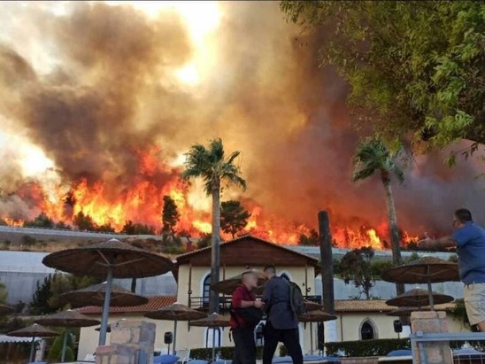 Image: Φωτιά στην Αχαΐα: 20 καμένα σπίτια, ένας τραυματίας με εγκαύματα