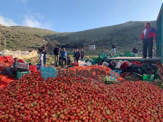 Image: Από 25 Νοεμβρίου οι αιτήσεις για  τις Κορωνοπληρωμές στα κηπευτικά 