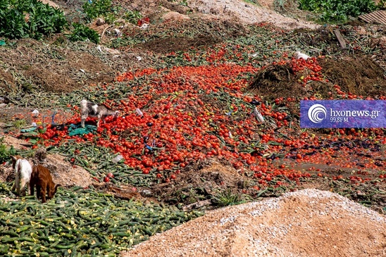 Image: Επιστολή αγροτών Ιεράπετρας στον Λιβανό για ενίσχυση στα κηπευτικά Κρήτης