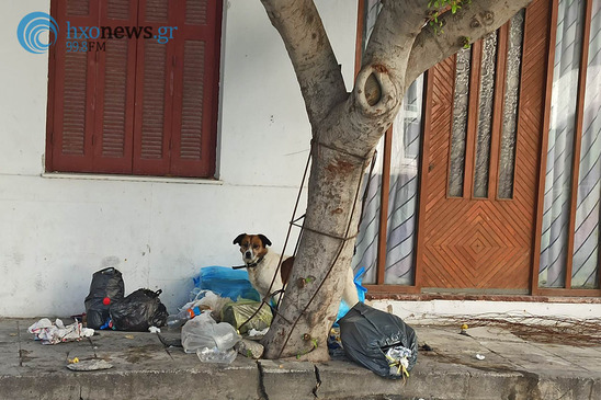 Image: Εικόνες ντροπής στην παλιά πόλη – «Απέτυχε ο σχεδιασμός της υπηρεσίας καθαριότητας» καταγγέλλουν κάτοικοι της περιοχής