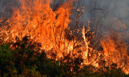 Image: Υψηλός κίνδυνος πυρκαγιάς την Τετάρτη στον Νομό Λασιθίου