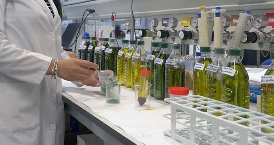 Image: Σοκ με υψηλή υπολειμματικότητα από απαγορευμένα φυτοφάρμακα σε λάδια της Κρήτης