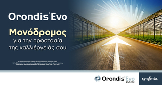 hxonews