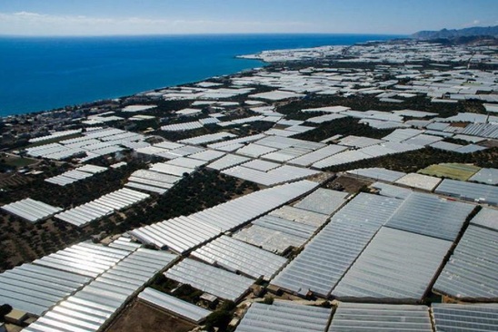 Image: Πωλείται μεταλλικό  θερμοκήπιο  5 στρεμμάτων  