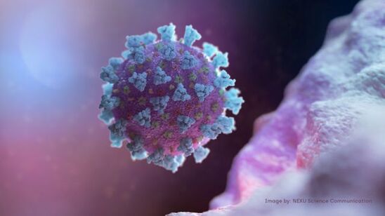 Image: Θα αυξηθούν οι φονικοί ιοί από ζώα, λέει καθηγήτρια στην Οξφόρδη