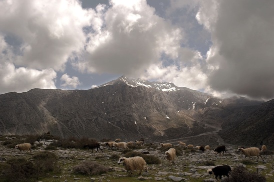 Image: ΕΟΣ Λασιθίου | Ανάβαση - διαμαρτυρία στην κορυφή Μαχαιράς της Οροσειράς Δίκτης