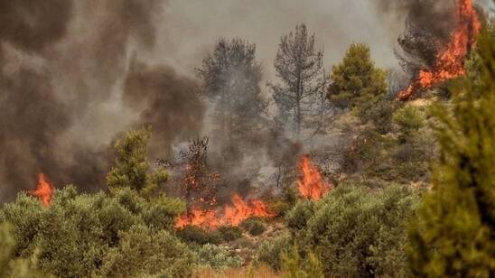 Image: Μεγάλη φωτιά στη βόρεια Κέρκυρα - Εκκενώνονται πέντε οικισμοί