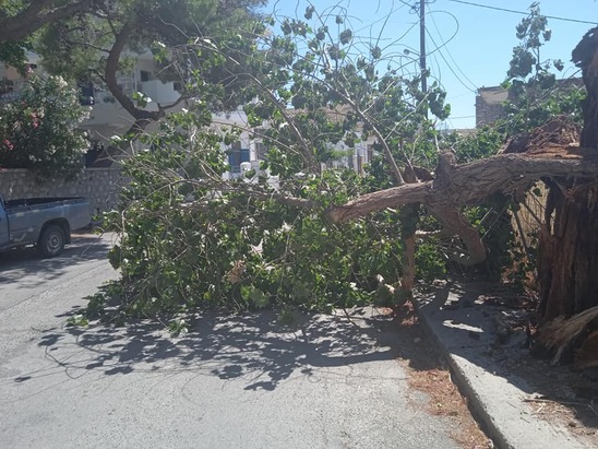 Image: Τραγωδία στη Λεωφόρο Δημοκρατίας: Ευθύνες μεγάλες και βαριές