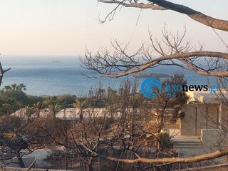 hxonews