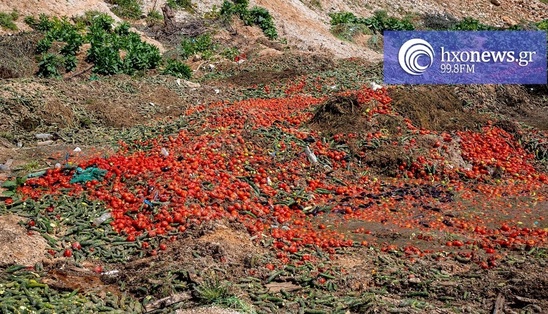 Image: Μέτρα - προτάσεις στήριξης του Αγροτικού Τομέα και ιδιαίτερα της θερμοκηπιακής παραγωγής