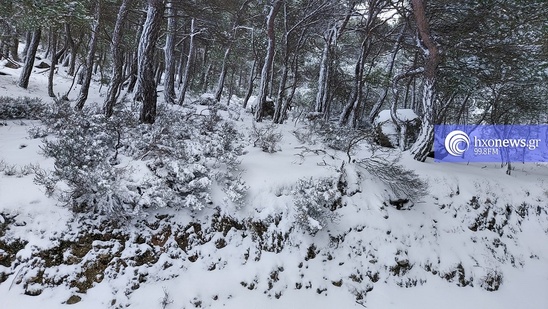 Image: Η Κρήτη σε κατάσταση ειδικής κινητοποίησης Πολιτικής Προστασίας - Πώς θα εξελιχθεί ο χιονιάς στο νησί