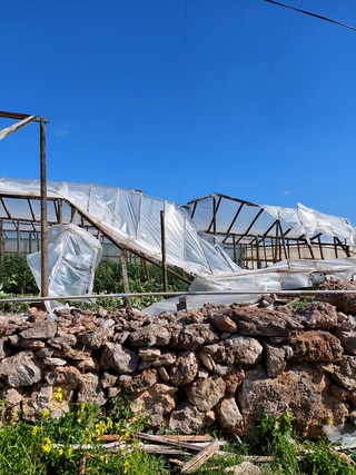 hxonews Καταστροφές σε θερμοκηπιακές καλλιέργειες στα Αχλιά, φωτογραφία από Γιάννα Χριστάκη