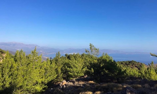 Image: Τακτική Γενική Συνέλευση του Πολιτιστικού και Φυσιολατρικού Συλλόγου Θρυπτής