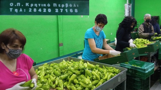 Image: Ο Κ. Χειλάς για τα κρούσματα στον Αγροτικό Συνεταιρισμό "Κρητικό Περβόλι"