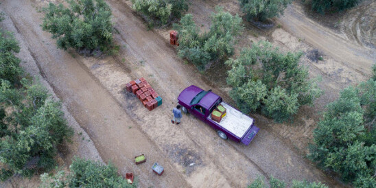 Image: Aγροτικός Σύλλογος Ιεράπετρας: Αλλαγές στις μετακινήσεις για αγρότες