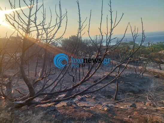 Image: Καμένη γη: Συγκλονιστικές μαρτυρίες στον Ηχώ 99,8 για την καταστροφική πυρκαγιά στην Ιεράπετρα