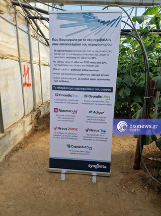 hxonews
