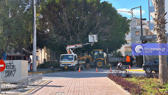 Image: Προσωρινά κλειστή η οδός Κύρβα λόγω εργασιών κλαδέματος