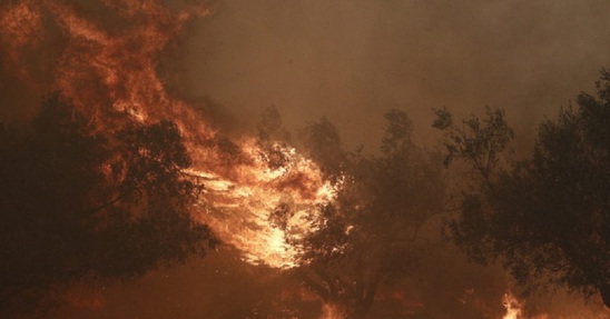 Image: Σητεία: Εφαρμογή του κανονισμού πυροπροστασίας ακινήτων εντός και πλησίον δασικών εκτάσεων