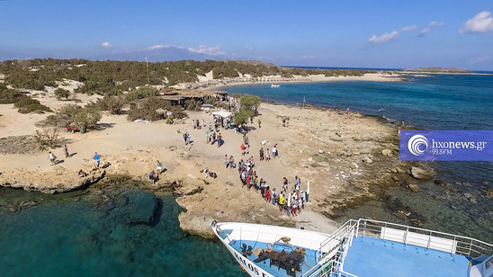 Image: Χρυσή: Πρωτοβουλία Σπυριδάκη για τη νομιμοποίηση της προβλήτας – Κάλεσμα σε οικονομική ενίσχυση