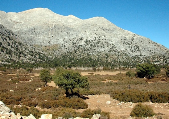 Image: Ανάβαση με τον ΕΟΣ Λασιθίου στα ανατολικά Λευκά Όρη