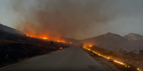 Image: Κατερίνα Σπυριδάκη για τις πυρκαγιές στην Κρήτη: «Η θυσία των δύο πυροσβεστών δεν θα ξεχαστεί ποτέ»