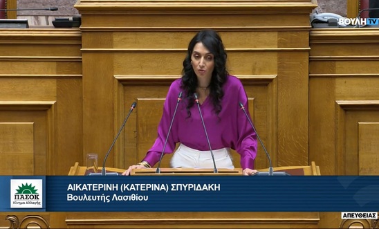 Image: Κ. Σπυριδάκη:  «Η ευθύνη για την εκπαίδευση είναι και παραμένει δημόσια, και δεν μπορεί να μετακυλίεται στον ιδιωτικό τομέα»