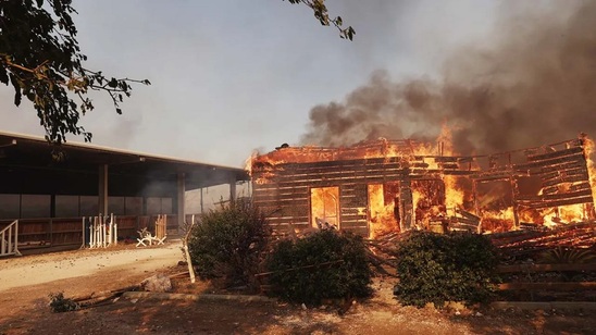 Image: Πύρινος εφιάλτης από 81 εστίες σε 24 ώρες - Κάηκαν σπίτια, απεγκλωβίστηκαν άνθρωποι, επιχείρηση σωτηρία και για ζώα