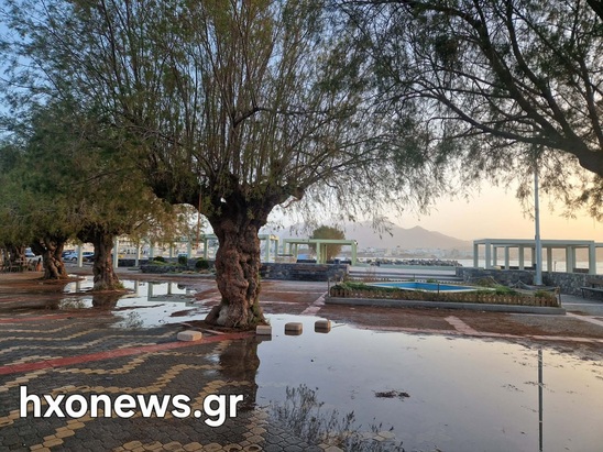 Image: Σπύρος Ζαφειράκης: «Σε 43 χρόνια δεν έχω ξαναδεί τέτοια μανία της θάλασσας»