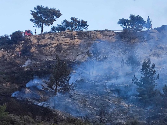 Image: Υπό μερικό έλεγχο η φωτιά στις Μάλλες (Φωτο)