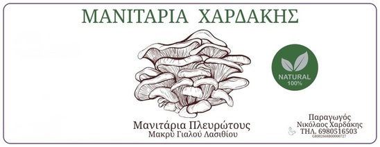 Image: Νίκος Χαρδάκης: Η καλλιέργεια μανιταριών στον Μακρύ Γιαλό και οι προκλήσεις της παραγωγής