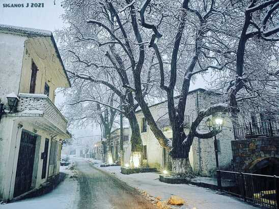 Image: Στα πέντε εκατοστά το χιόνι στο Οροπέδιο Λασιθίου. Κλειστά τα σχολεία.