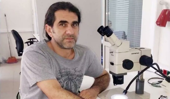 Image: Τέλος Μαΐου κλιμάκιο της ΕΕ στην Ιεράπετρα για το έντομο καραντίνας