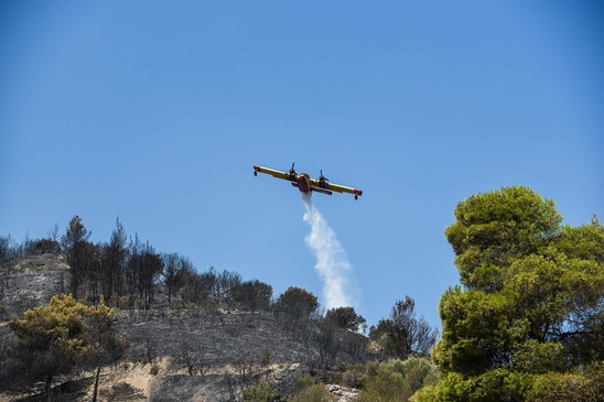 Image: Κατερίνα Σπυριδάκη:Πού πήγαν και τι απέδωσαν οι πόροι για την πυροπροστασία; – Στη Βουλή ο απολογισμός από το 2019 έως σήμερα