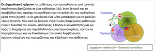 hxonews