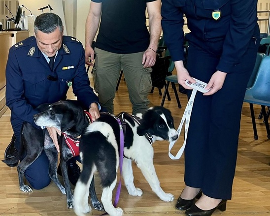 Image: Η πρώτη Αστυνομία Ζώων ξεκινάει στην Κρήτη