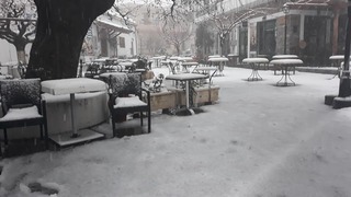 hxonews