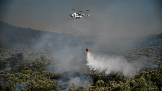 Image: Συνολικά 1053 πυρκαγιές την τελευταία εβδομάδα στη χώρα