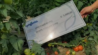 hxonews