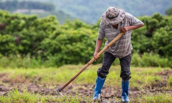 Image: Αλλοδαποί εργάτες γης: Οι προϋποθέσεις για να εργαστούν τρεις μήνες ακόμη