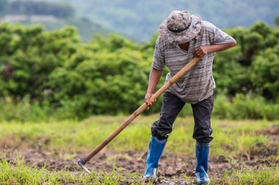 Image: Αγροτικός Σύλλογος Ιεράπετρας: Η πραγματικότητά για τους Εργάτες Γης στον Ν. Λασιθίου