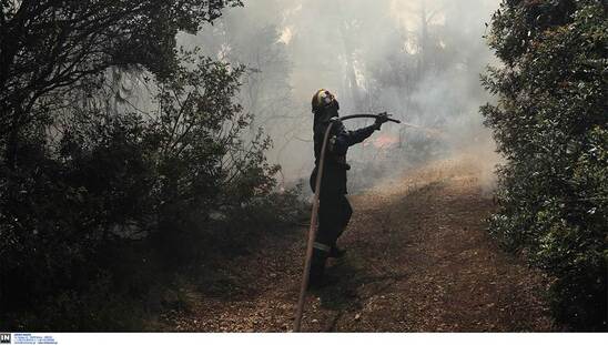 Image: Φωτιά στο πεδίο βολής στις Γούβες - Επιχειρούν 28 πυροσβέστες και ελικόπτερο